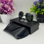 SGJ093 Ray ban glasses